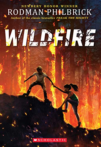 Cover of Wildfire