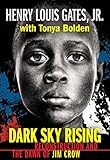 Dark Sky Rising Reconstruction And The Dawn Of Jim Crow