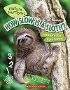 How Slow is a Sloth? (Nature Numbers): Measure the Rainforest