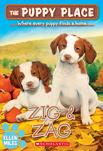 ZigZag book cover