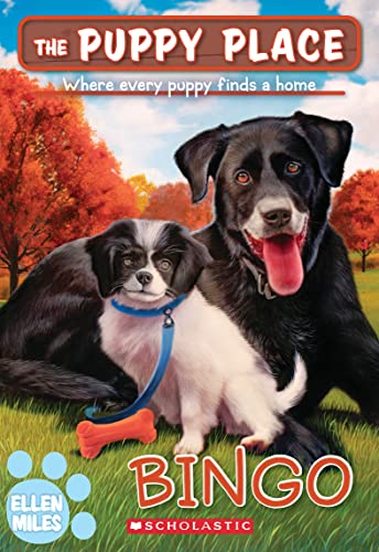Bingo book cover