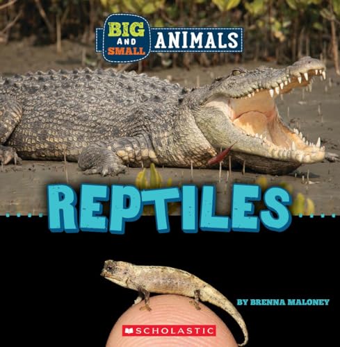 Cover of Big and Small