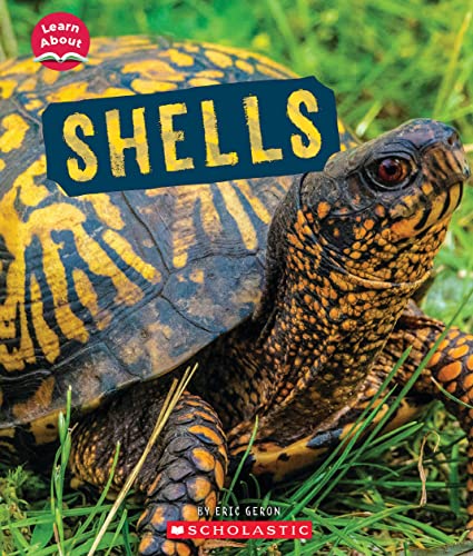 Cover of Shells