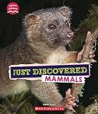 Amazon cover image