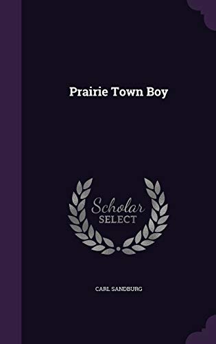 Prairie-Town Boy book cover