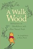 A Walk In The Wood Meditations On Mindfulness With A Bear Named Pooh