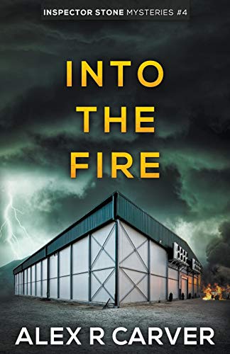 Into The Fire book cover