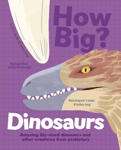 How Big? Dinosaurs / by Dixon, Dougal