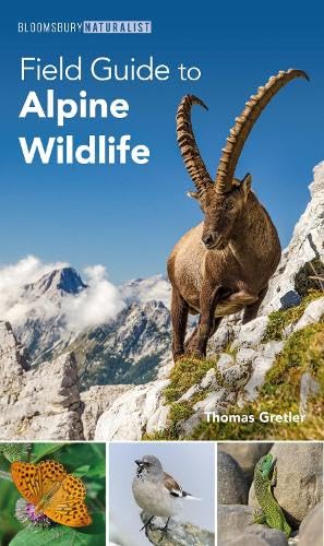 Cover of Field Guide to Alpine Wildlife
