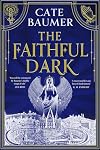 The Faithful Dark (The Brilliant Soul Duology Book 1)