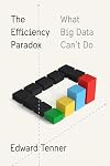 The Efficiency Paradox: What Big Data Can't Do