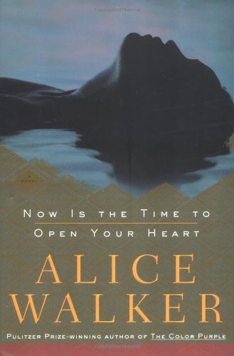 Now Is the Time to Open Your Heart book cover