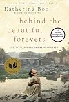 Behind the Beautiful Forevers