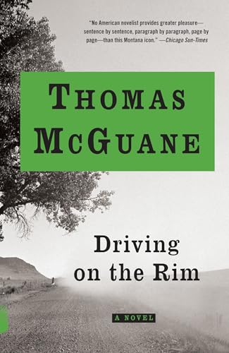 Driving on the Rim book cover