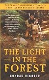 The Light in the Forest