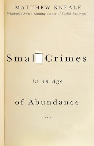 Small Crimes in an Age of Abundance book cover