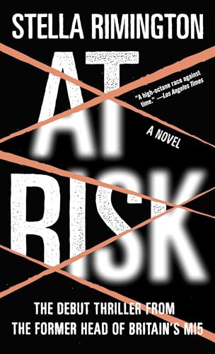 At Risk book cover