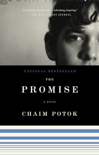 The Promise book cover
