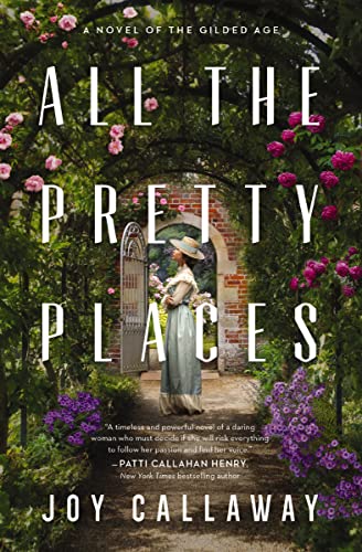 All the Pretty Places book cover