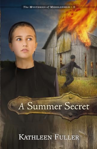 A Summer Secret book cover