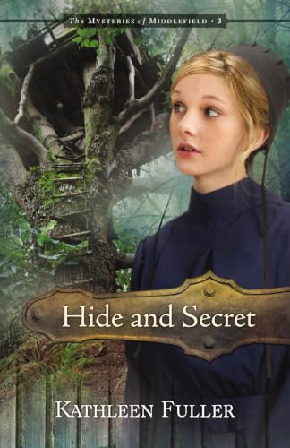 Hide and Secret book cover