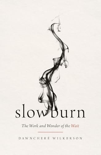 Slow Burn by DawnCheré Wilkerson — book cover