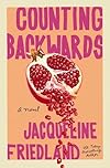 Counting Backwards: A Novel