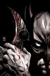 Batman: Face the Face