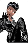 Catwoman Volume 1: Trail of the Catwoman