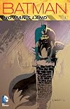 Batman: No Man's Land, Vol. 4