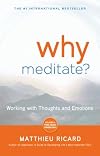 Why Meditate: Working with Thoughts and Emotions