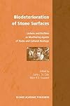 Biodeterioration of Stone Surfaces: Lichens and Biofilms as Weathering Agents of Rocks and Cultural Heritage