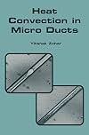 Heat convection in micro ducts