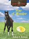Star of Wonder (Lucky Foot Stable)