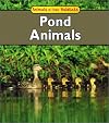 Pond Animals