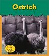 Ostrich (Read and Learn: Zoo Animals)