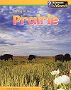 Living in a Prairie (InfoSearch: Living Habitats)