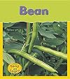 Bean (Read and Learn: Life Cycles)