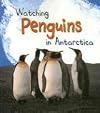 Watching Penguins in Antarctica (Heinemann First Library: Wild World)