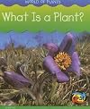 What Is a Plant? (Heinemann First Library: World of Plants)