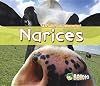 Narices (Β‘Encuentra las diferencias!) (Spanish Edition)