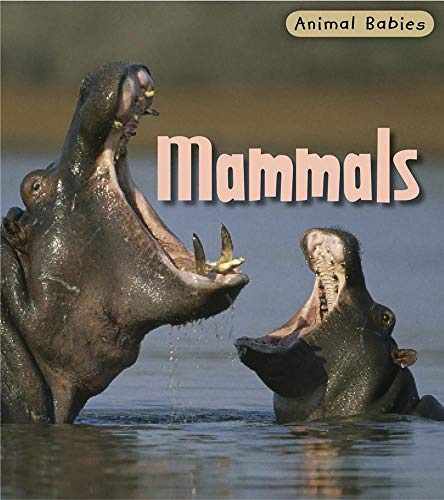 Cover of Mammals (Animal Babies/2nd Edition)