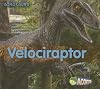 Velociraptor (Acorn: All About Dinosaurs)