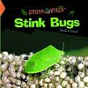Stink Bugs (Gross Bugs)