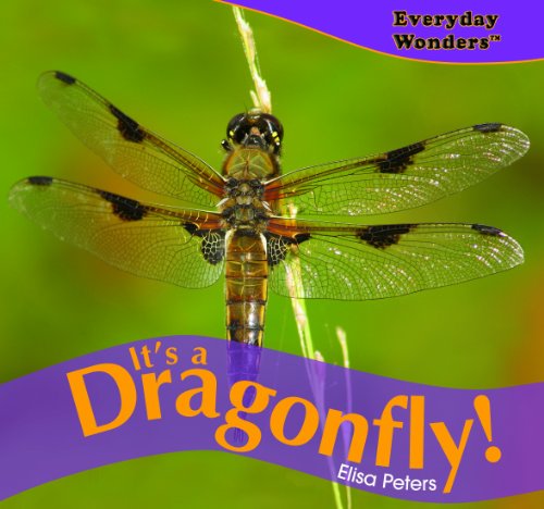 Cover of It's a dragonfly!