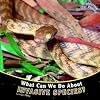 What Can We Do About Invasive Species? (Protecting Our Planet)
