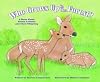 Who Grows Up in the Forest?: A Book About Forest Animals and Their Offspring (Who Grows Up Here?)