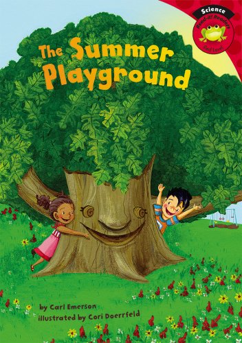 Cover of Summer Playground