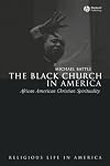 The Black Church in America: African American Christian Spirituality (Religious Life in America)