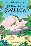 Follow The Swallow